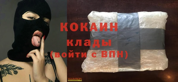 сатива Балахна