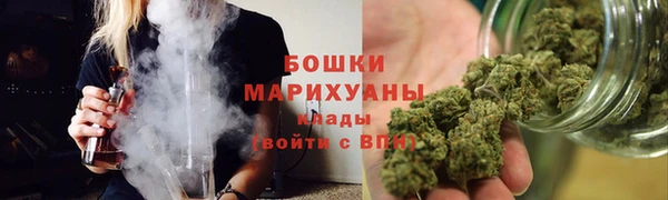 сатива Балахна