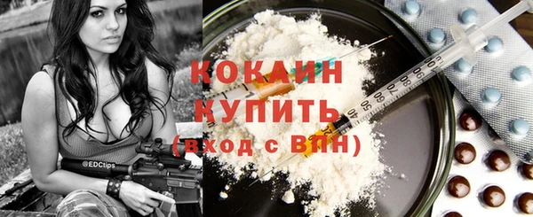 сатива Балахна