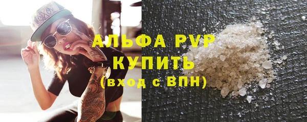 сатива Балахна