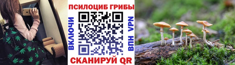 mega ссылка  Североуральск  Галлюциногенные грибы прущие грибы 
