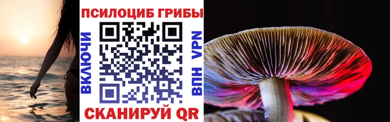 Псилоцибиновые грибы ЛСД Североуральск